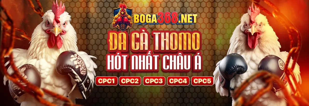 Hướng dẫn từng bước chọn nền tảng cá cược KJC789 đáng tin cậy